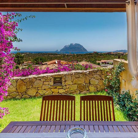 Villa Con Vista Porto San Paolo 포르토산파울로 외부 사진